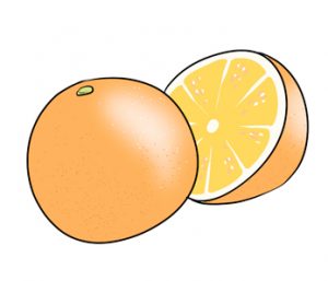 摂取方法